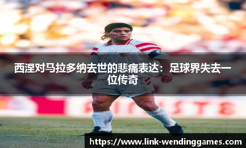 西涅对马拉多纳去世的悲痛表达：足球界失去一位传奇