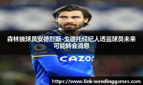 森林狼球员安德烈斯-戈德托经纪人透露球员未来可能转会消息
