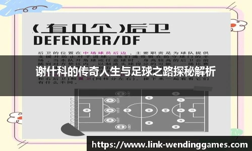 谢什科的传奇人生与足球之路探秘解析