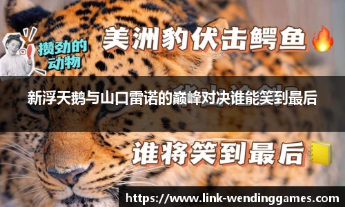 新浮天鹅与山口雷诺的巅峰对决谁能笑到最后